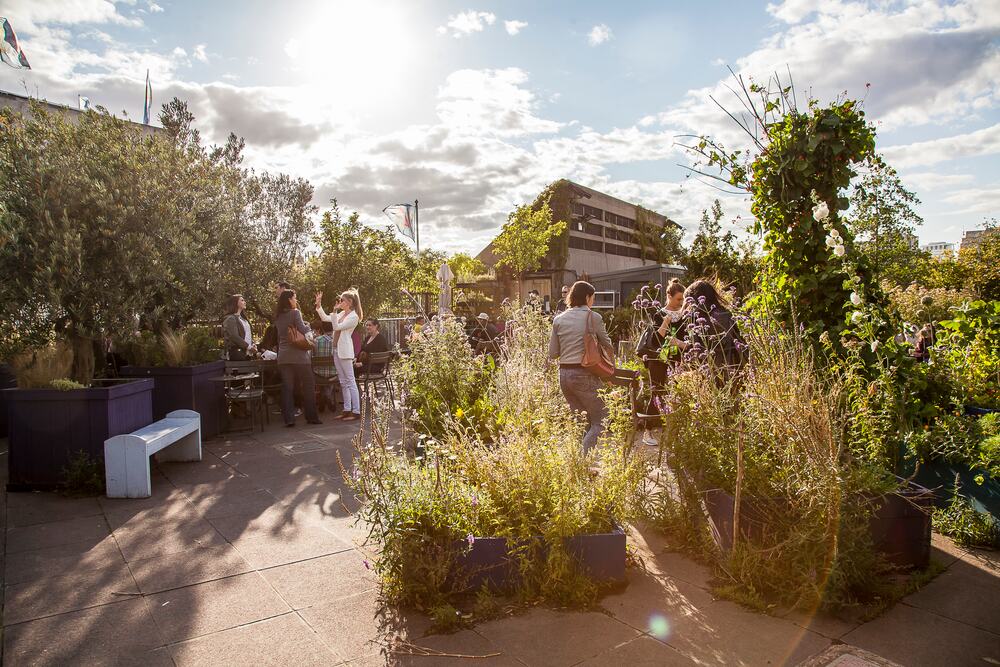 Queen Elizabeth Hall Roof Garden Southbank Centre
