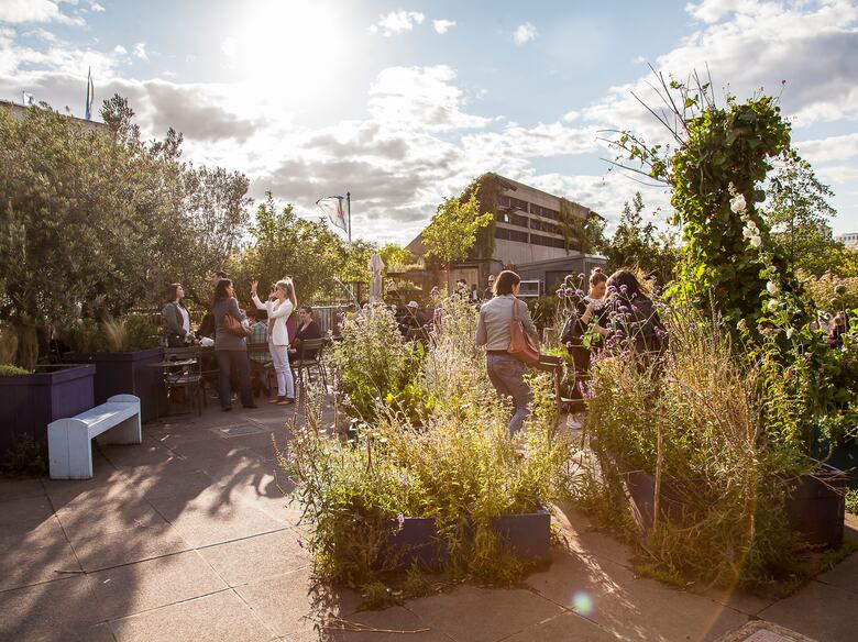 People enjoying the Queen Elizabeth Roof Garden at the Southbank Centre