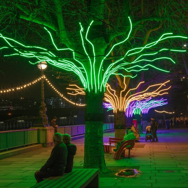 David Ogle, Loomin, 2020: Light installations on trees around the Southbank Centre. Image credit, Morley Von Sternberg