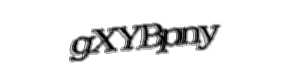 Security check image, please type the characters shown