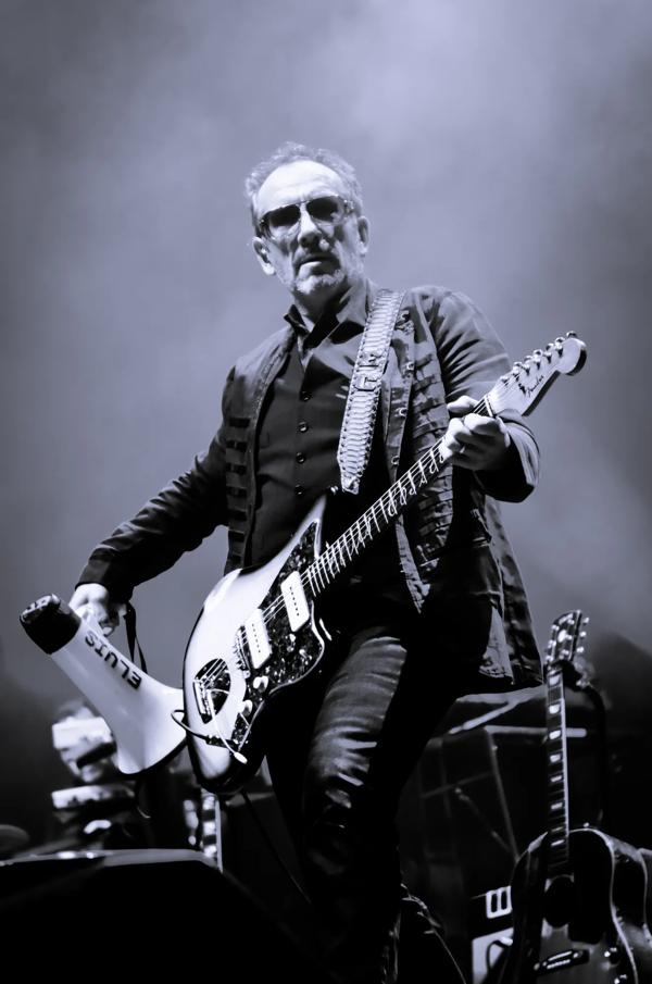 Elvis Costello Musician