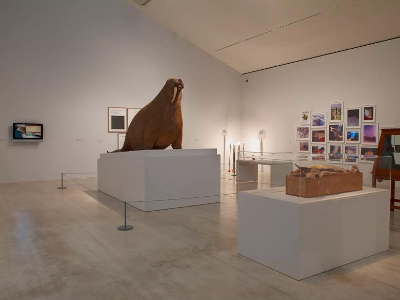 Installation View of Curiosity: Art and the Pleasures of Knowing Exhibition