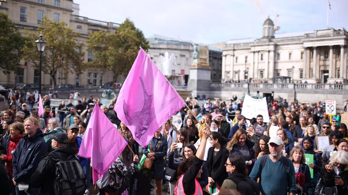 Crowd of climate activists in Trafalgar Square carrying pink flags with images of birds on them.