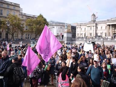 Crowd of climate activists in Trafalgar Square carrying pink flags with images of birds on them.