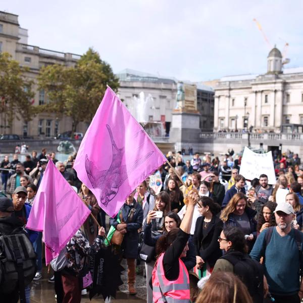 Crowd of climate activists in Trafalgar Square carrying pink flags with images of birds on them.