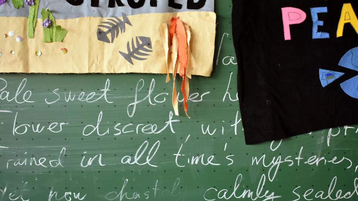 Blackboard covered in writing in white chalk with fragments of paper and material partially obscuring the words.