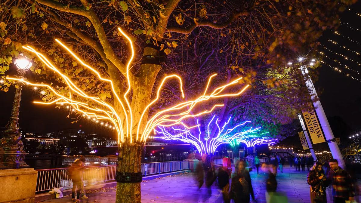 David Ogle Loomin light installations on trees on the South Bank