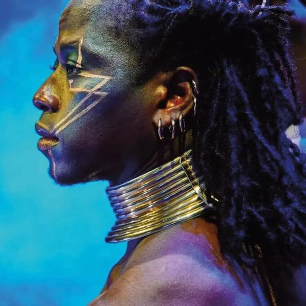Afrique en Cirque performer with gold lines painted on their face, five silver hoop earrings and a large silver choker on a blue background