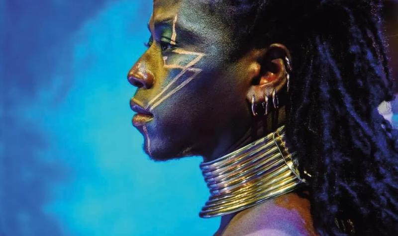 Afrique en Cirque performer with gold lines painted on their face, five silver hoop earrings and a large silver choker on a blue background