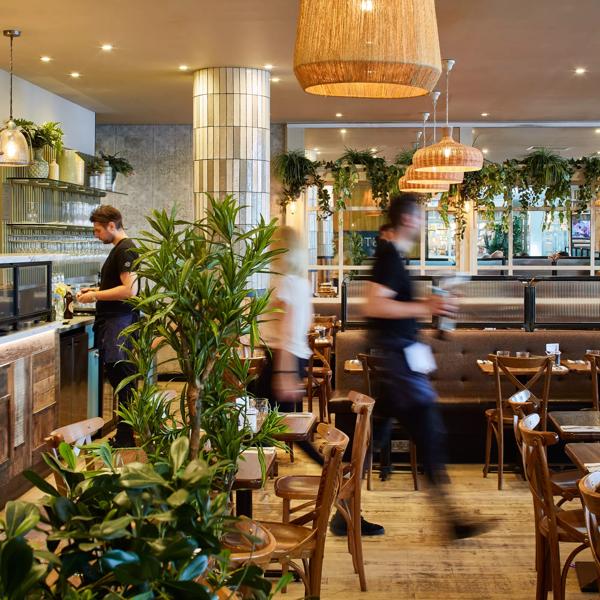 Strada interior with set tables and plants in the foreground