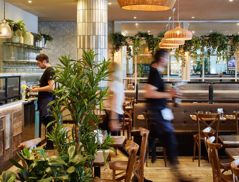 Strada interior with set tables and plants in the foreground