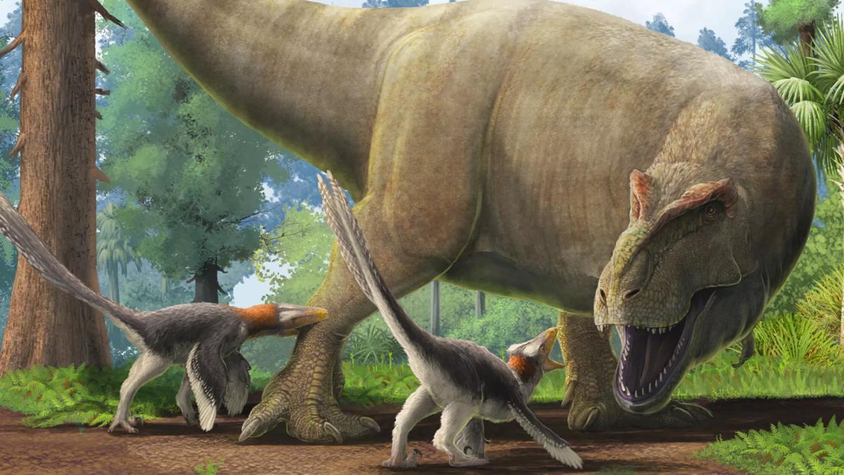  A T-Rex roars at two smaller dinosaurs in a forest. 