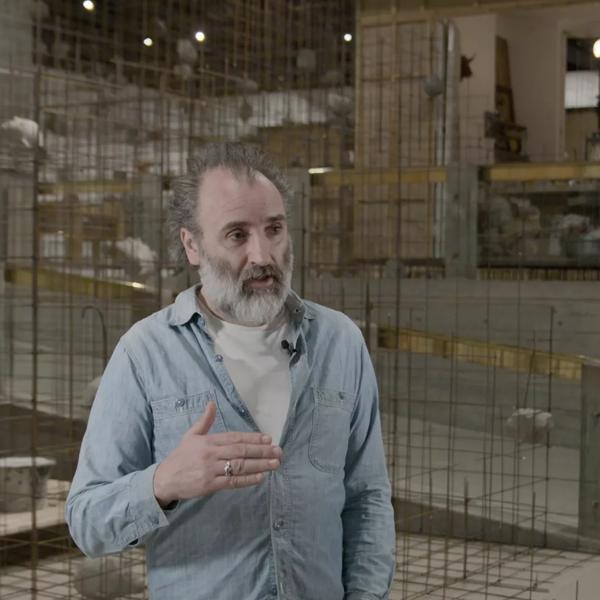 The artist Mike Nelson, a white man with a grey beard, is interviewed whilst standing in the Hayward Gallery, behind him sculptural works from his exhibition Extinction Beckons are visible