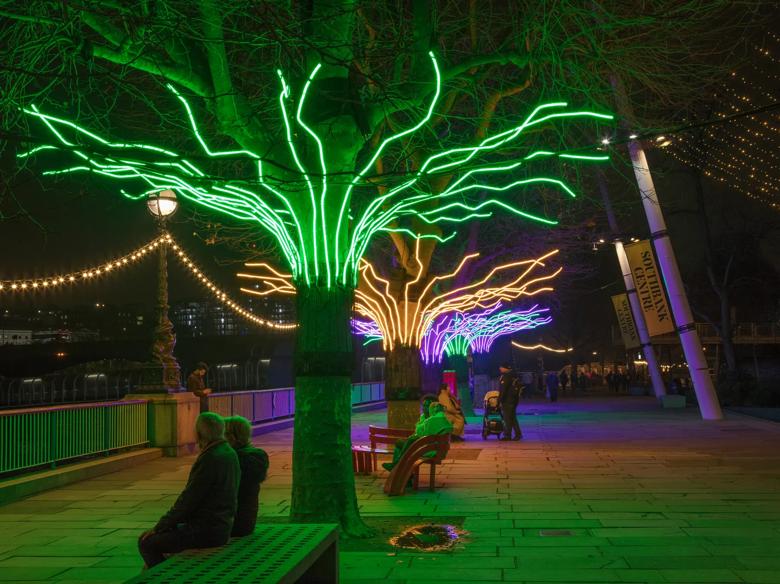 David Ogle, Loomin, 2020: Light installations on trees around the Southbank Centre. Image credit, Morley Von Sternberg
