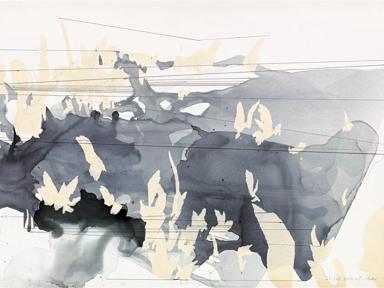 Gerhard Richter drawing
