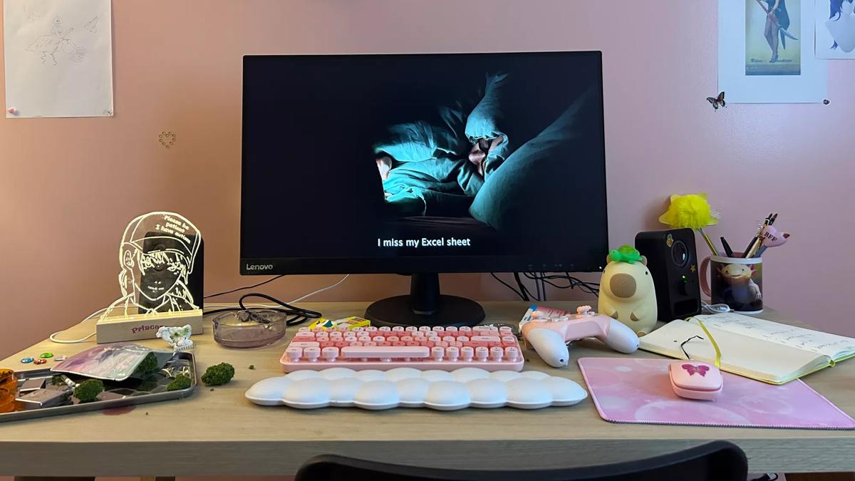 Desk with keyboard, mouse, stationary and computer monitor displaying someone in bed with the caption 'I miss my Excel sheet'