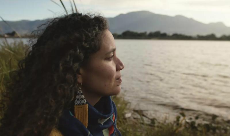 Poet Toni Giselle Stuart looks out over a body of water, she has long curly hair, and a large decorative earring