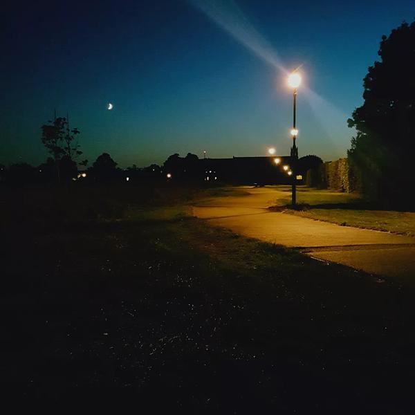 Evening street lights in a neighbourhood
