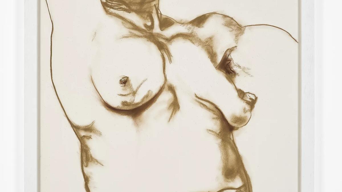 A sketch of the torso and face of a naked woman