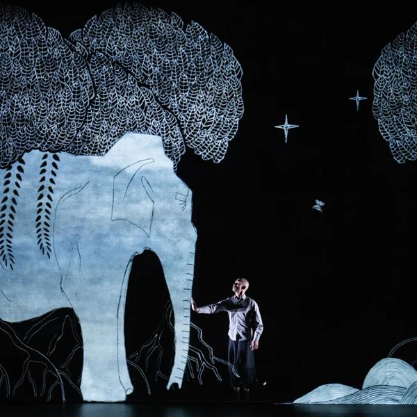 Animated image of an elephant in a forest with a non-animated male reaching out to the elephant.