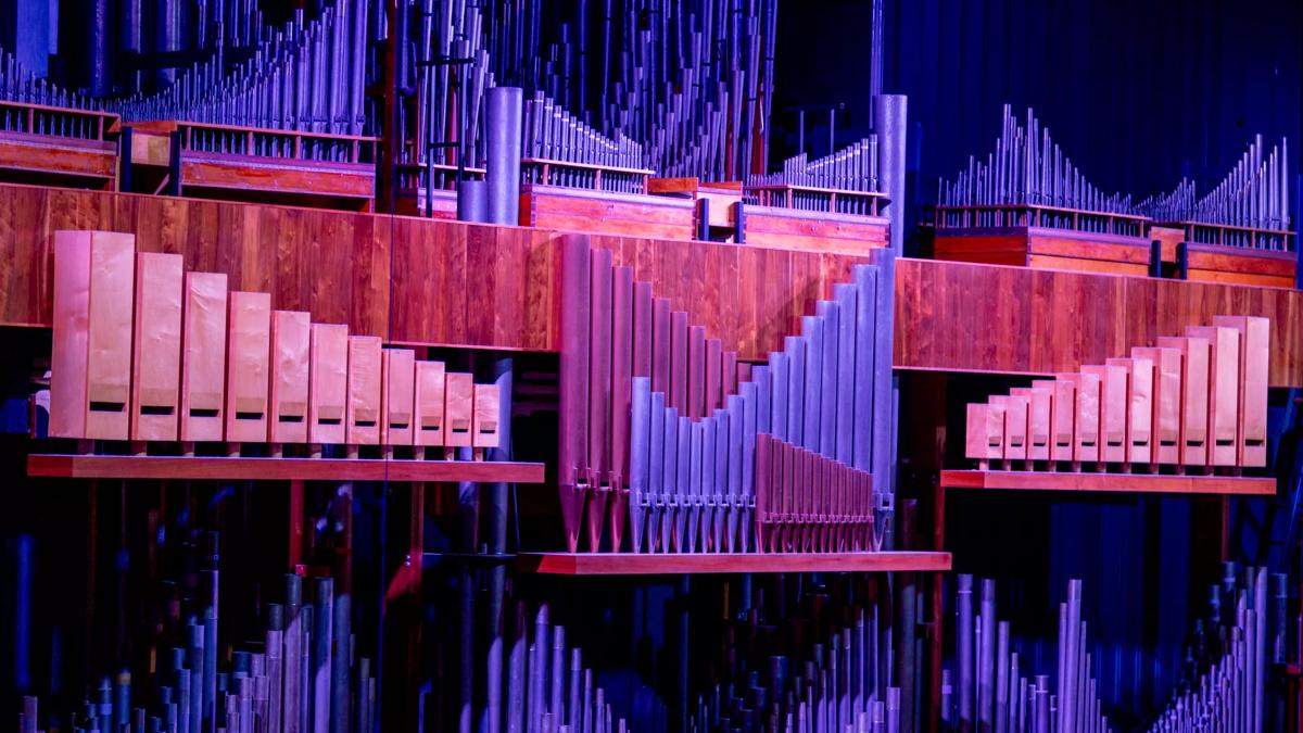 The pipes of the Royal Festival Hall organ illuminated in bright colour