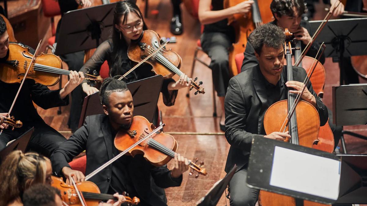 Chineke! Orchestra string section