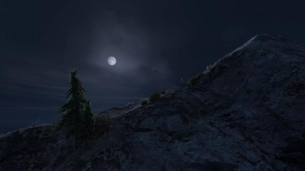 A dark image of the moon illuminating a hillside. A silhouette of a tree stands out against the rocks.  