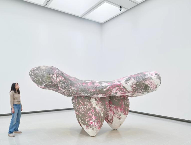 A grey and pink sculpture