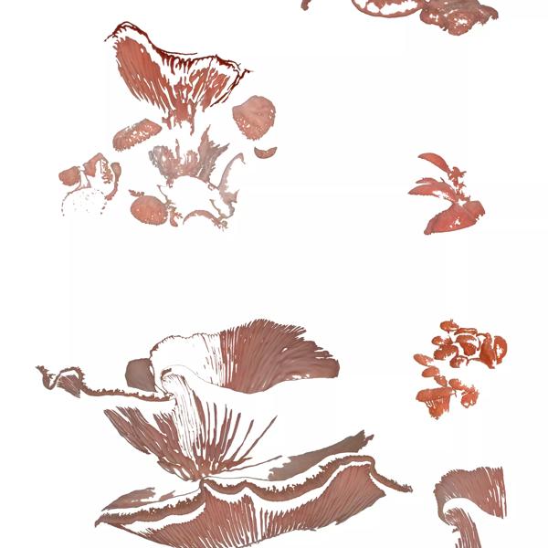 The artwork depicts prints of mushrooms in a muddy brown/red colour. There is also an outline of a butterfly perched on a flower and different plants in slightly redder tones. The more animate the subject of the image is, the brighter its colour. The abstract nature of the artwork draws attention to the beauty of the non-human lifeforms. 