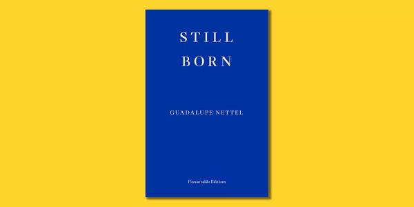 The front cover of the book, Still Born by Guadalupe Nettel, on a yellow background